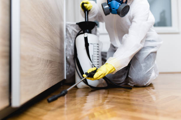Best Best Pest Control Companies  in Roodhouse, IL