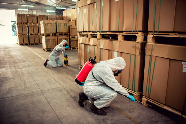 Best Affordable Pest Control Services  in Roodhouse, IL