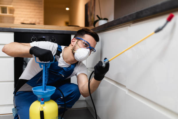 Best Mosquito Control Services  in Roodhouse, IL