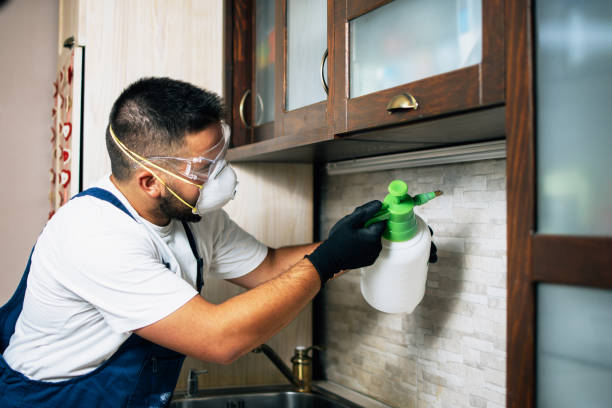 Best Affordable Pest Control Services  in Roodhouse, IL