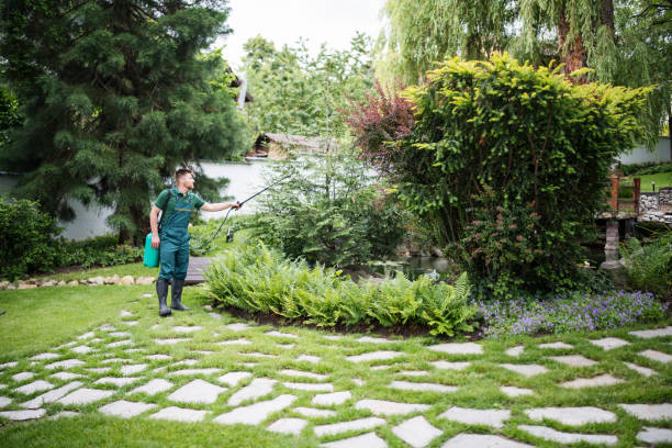 Best Ant Control Services  in Roodhouse, IL