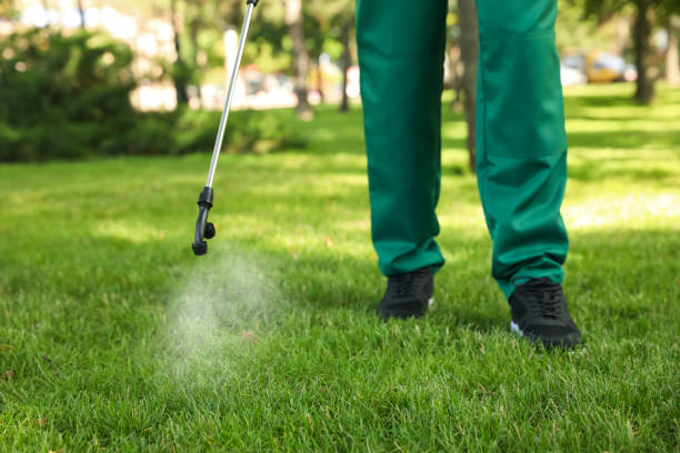 Best Best Pest Control Companies  in Roodhouse, IL
