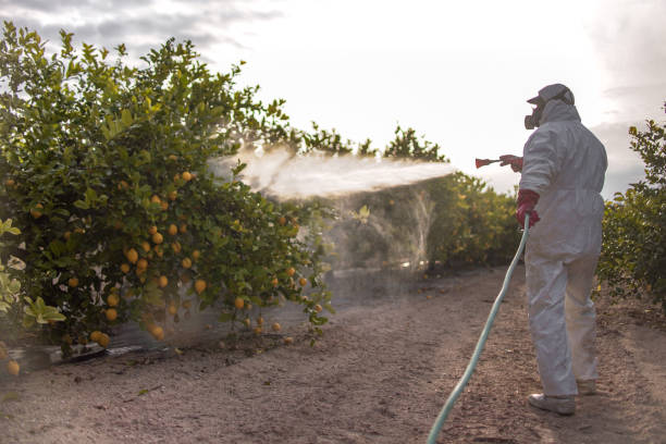 Best Ant Control Services  in Roodhouse, IL
