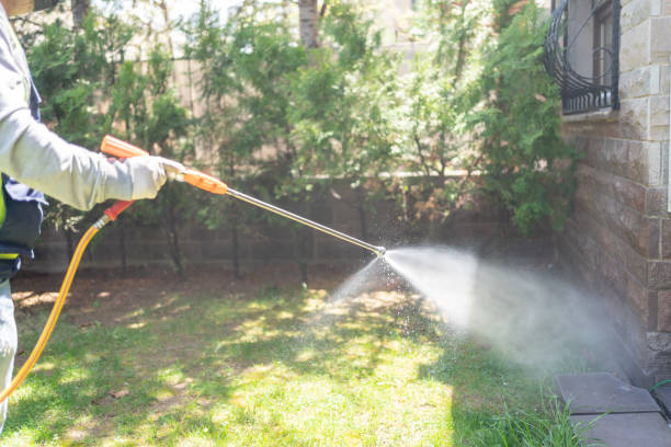 Best Ant Control Services  in Roodhouse, IL
