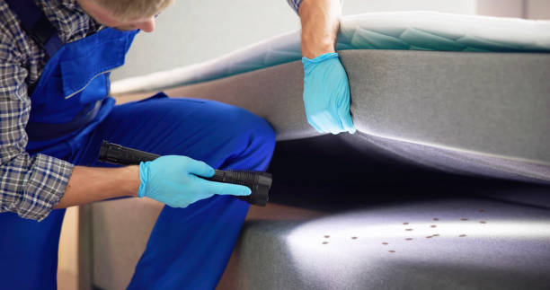 Best Exterminator Services  in Roodhouse, IL