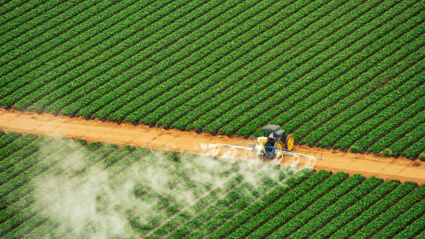Pest Prevention Services in Roodhouse, IL