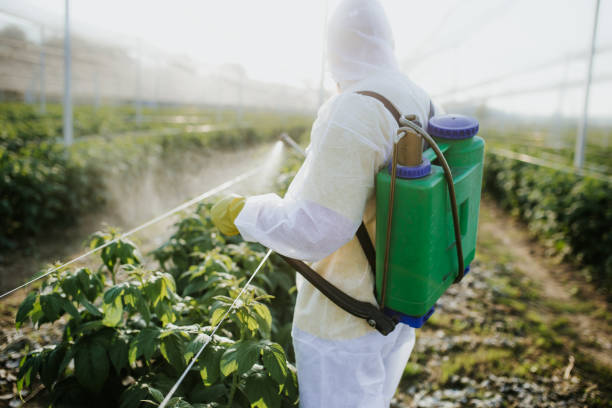 Best Best Pest Control Companies  in Roodhouse, IL